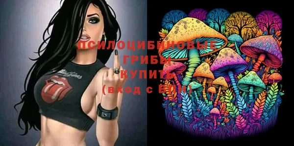 гидропоника Нягань
