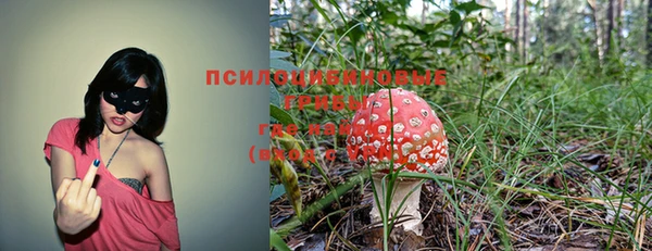 не бодяженный Новодвинск