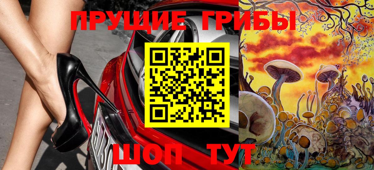 Галлюциногенные грибы Psilocybine cubensis Нягань